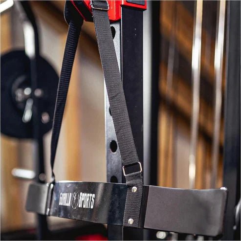 Biceps Blaster Isolator