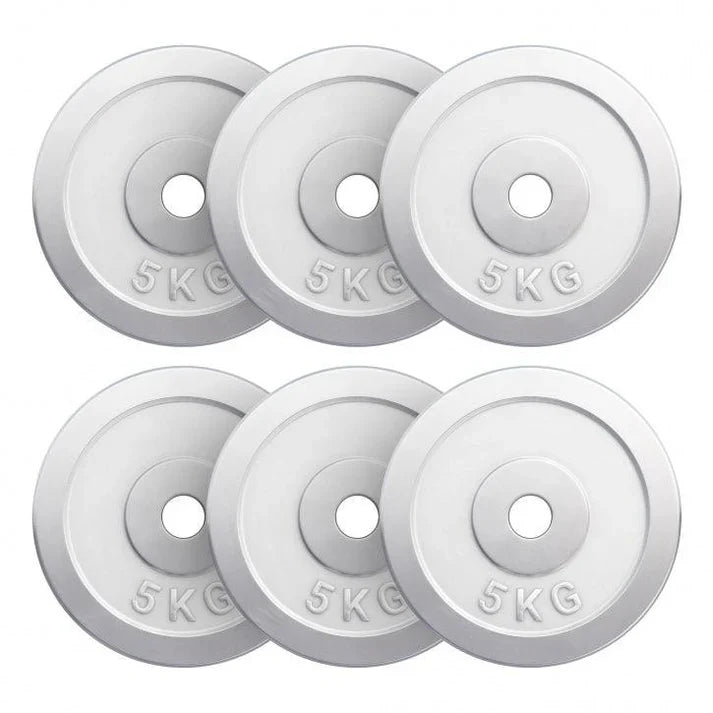 Viktskivor CHROME 6x5kg
