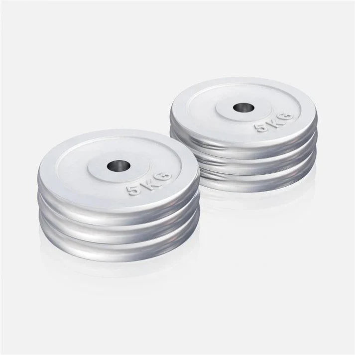 Viktskivor CHROME 6x5kg