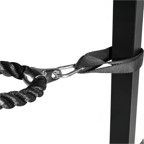 Anchor Straps Par