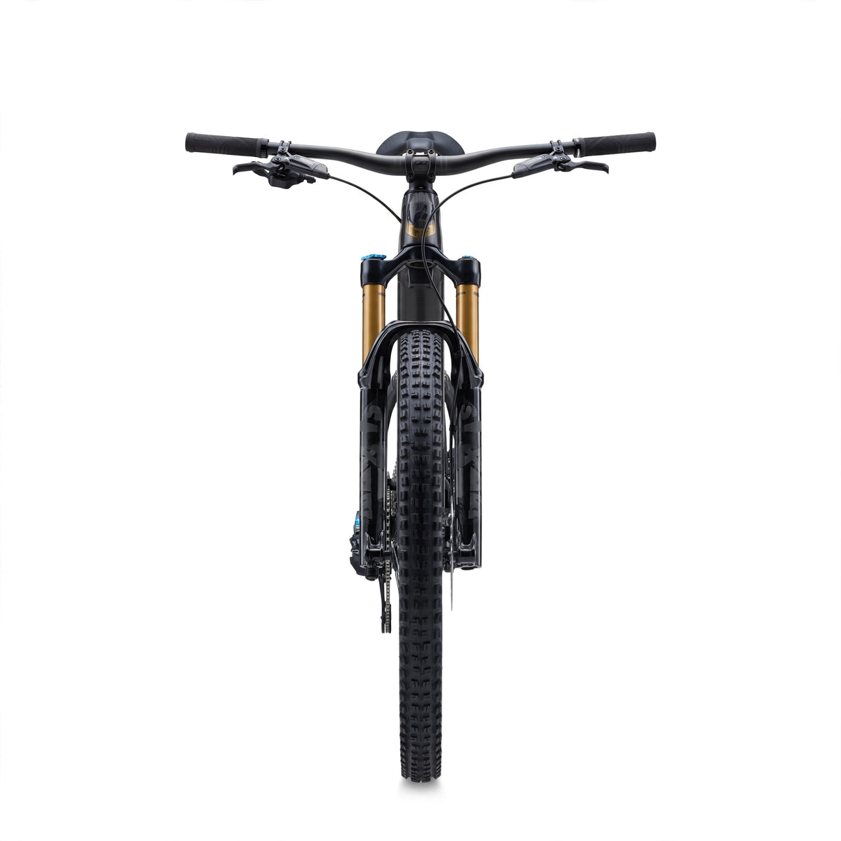 Elcykel LIV Intrigue X Advanced E+ Elite 1, Raw Carbon