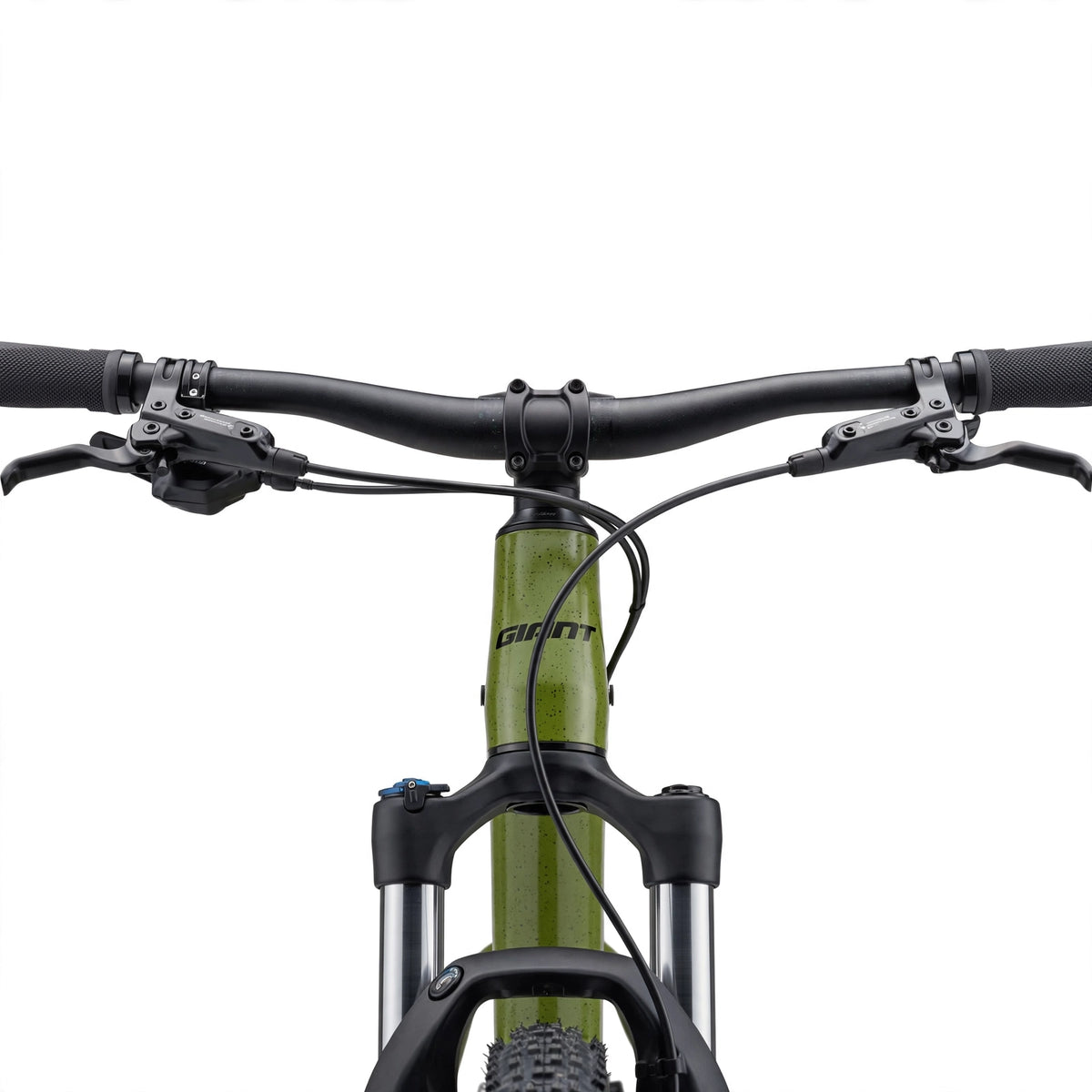 Bicycle GIANT Talon 2, 29" Dried Matcha