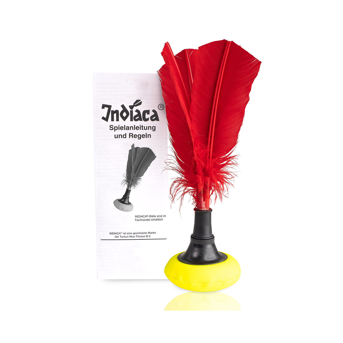 Pallo TUNTURI Indiaka Tournament