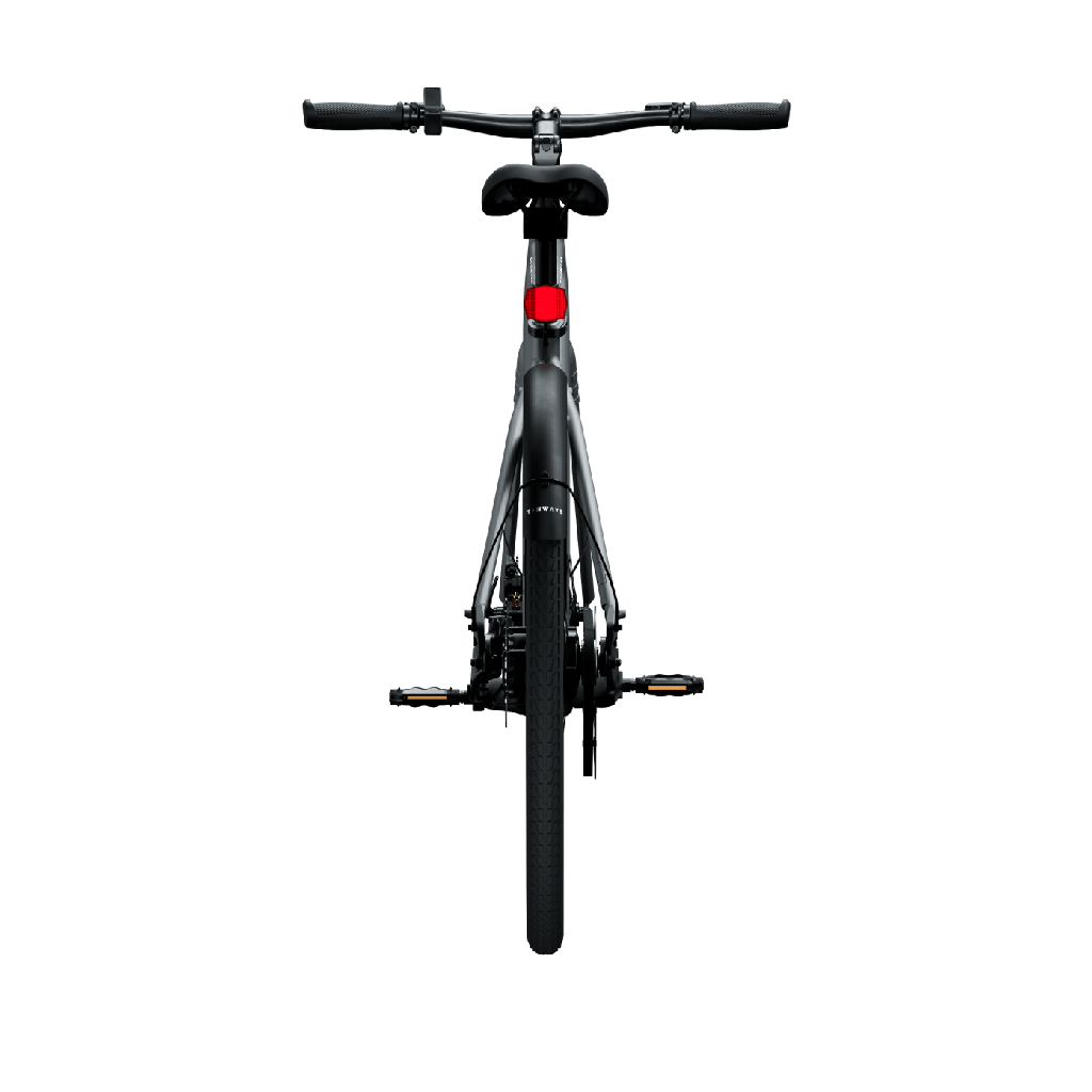 Elcykel TENWAYS CGO600 PRO, Ljusgrå