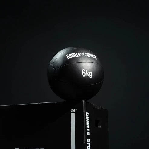 Wall Ball PRO 1-10kg