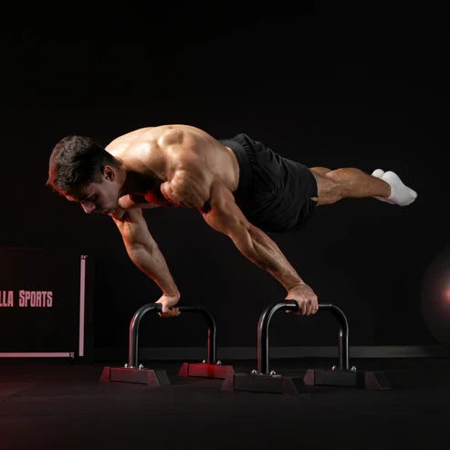 Parallettes Push Up Bars Low