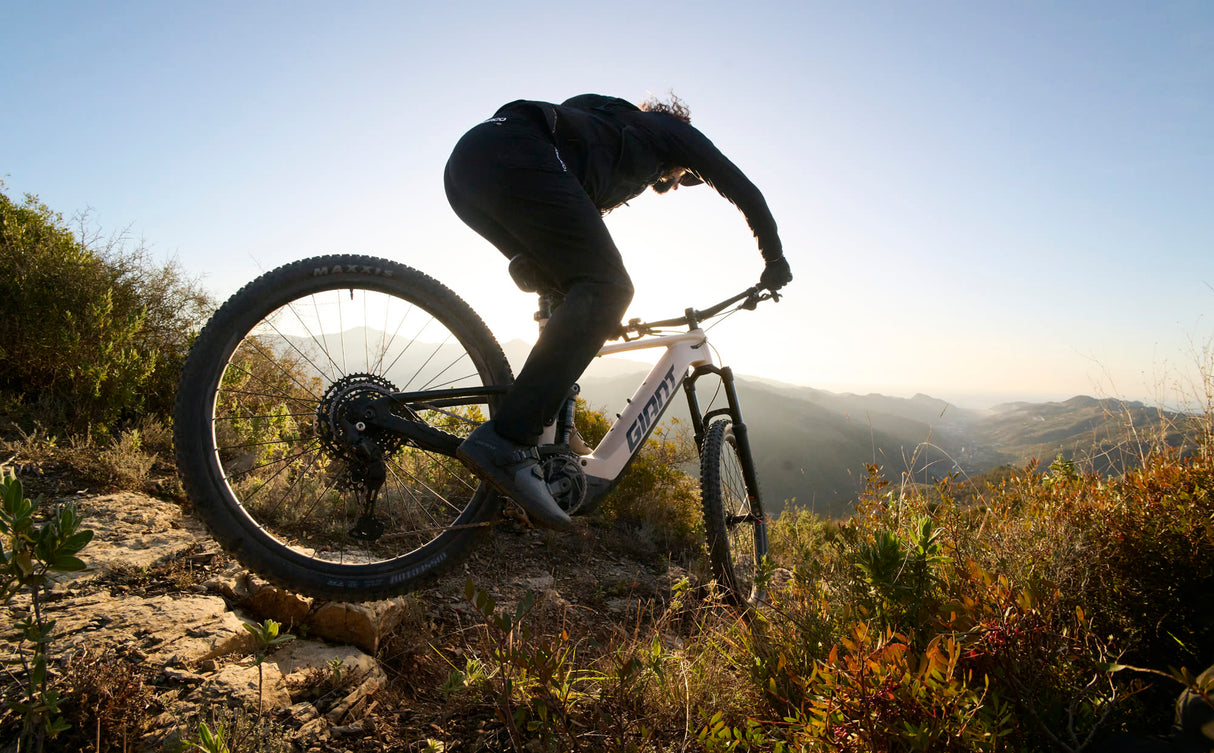 Elcykel GIANT Stance E+ 1 (2027) 29" Charcoal/Black