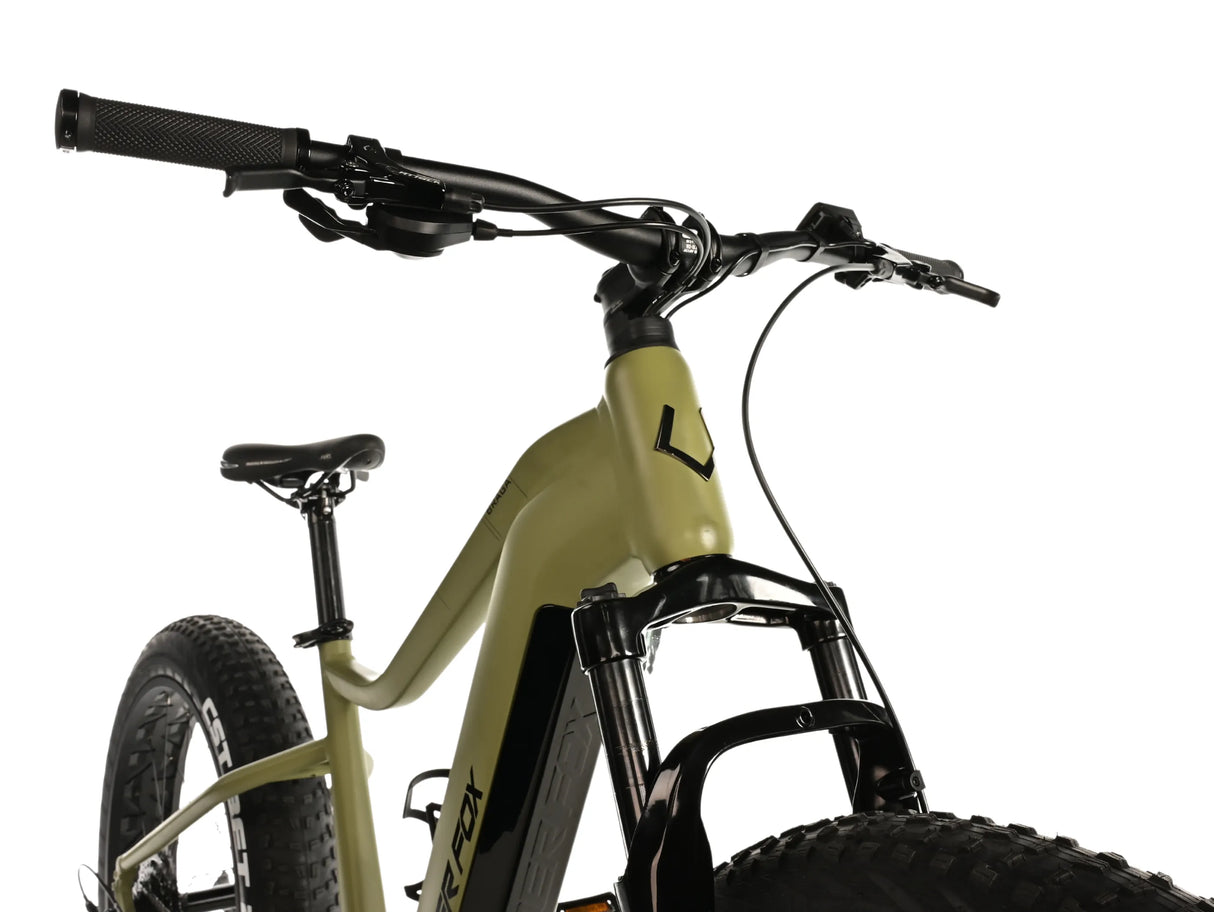 El-fatbike LEADER FOX Braga 26": Grön