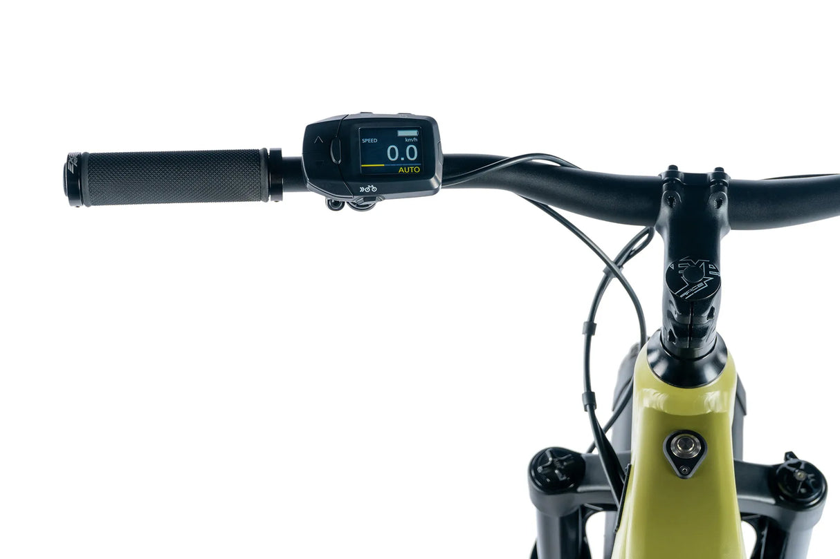 El-fatbike LEADER FOX Brasa 26": Grön