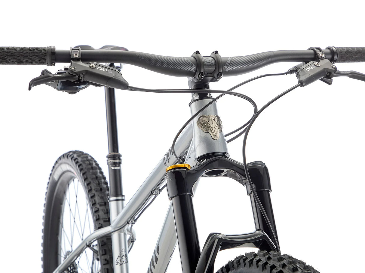 Polkupyörä KONA Honzo ESD, 29" Gloss Faux Chrome (hopea)