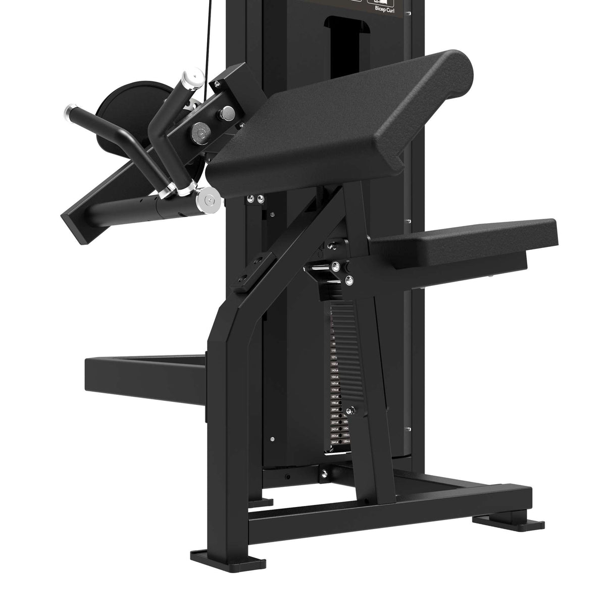 TUNTURI Platinum - Bicep Curl Strength Station - Selectorized - V-Series