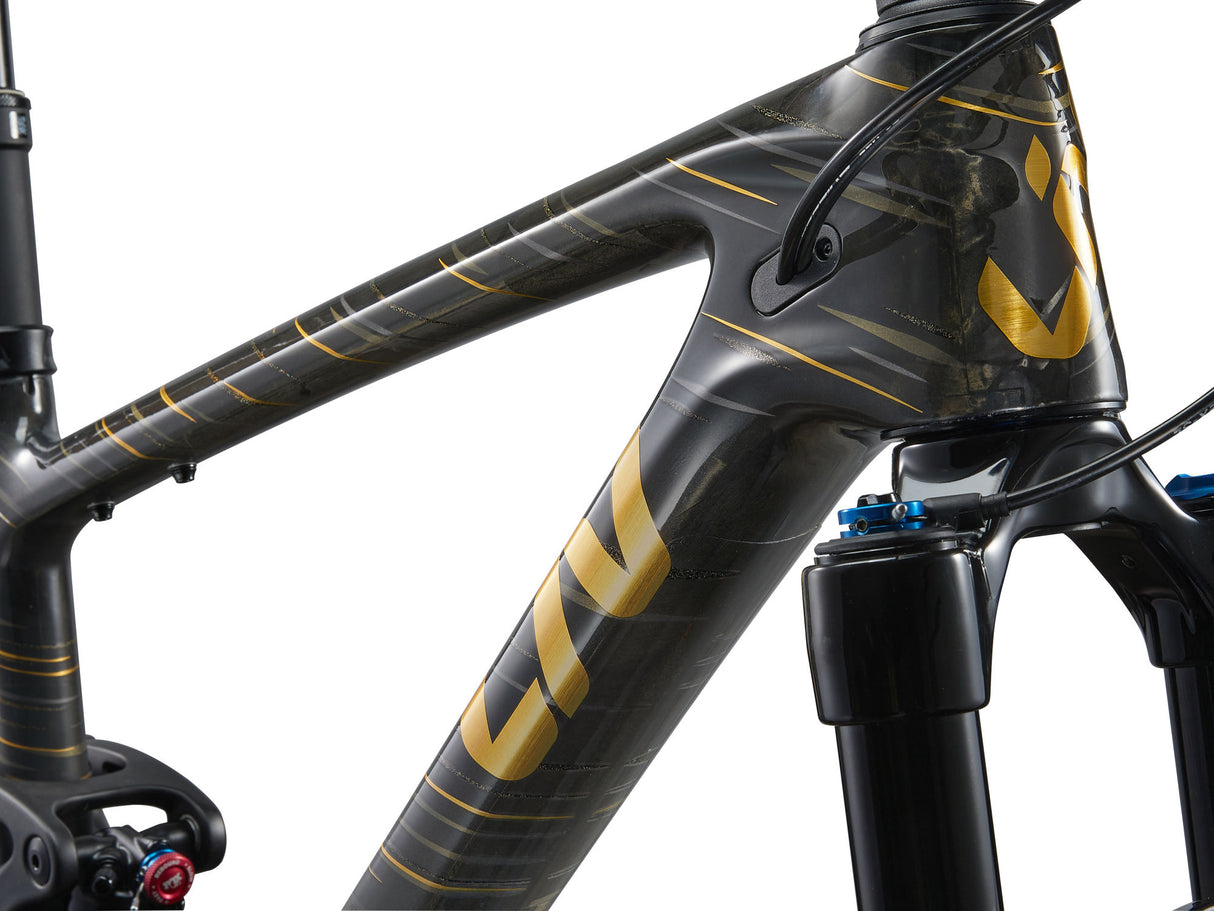 Mountainbike LIV Pique Advanced 29 1, Raw Carbon