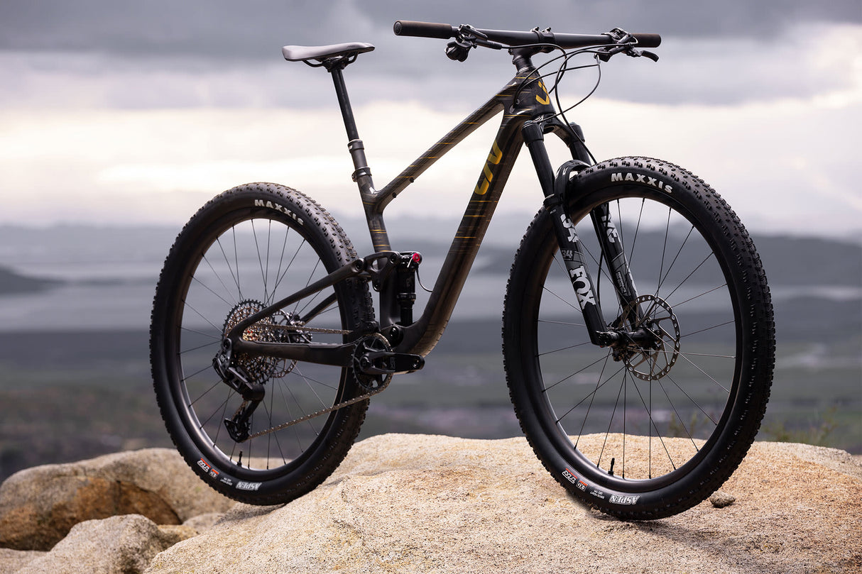 Mountainbike LIV Pique Advanced 29 1, Raw Carbon