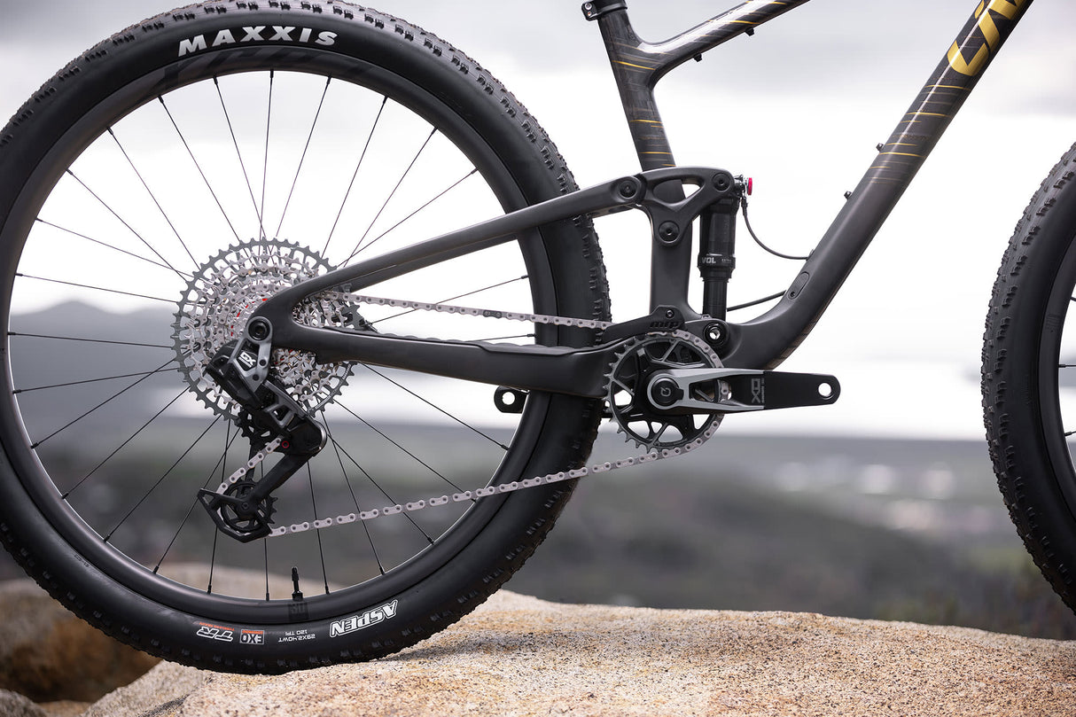 Mountainbike LIV Pique Advanced 29 1, Raw Carbon