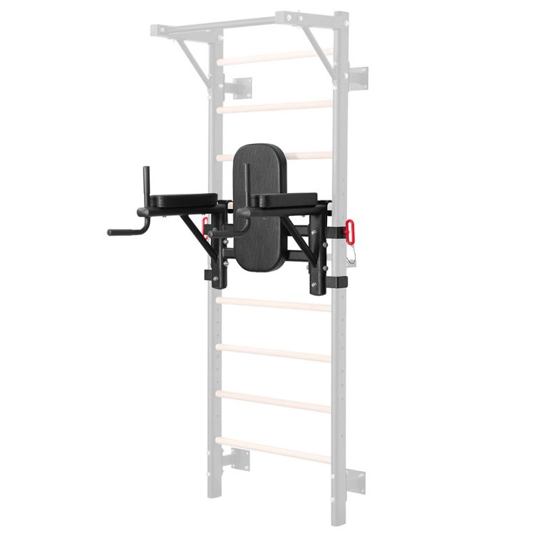 Dip Station for Wall Bars