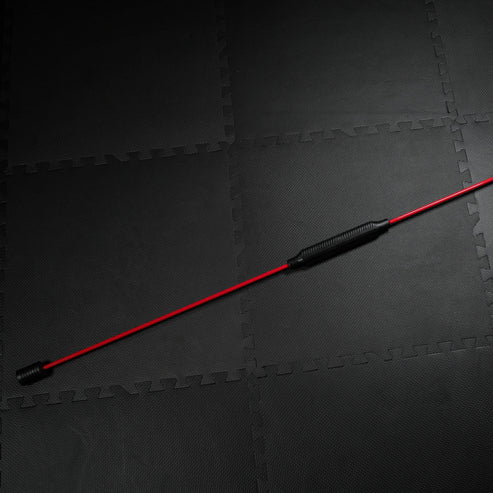 Swing Stick Svängstav 160cm