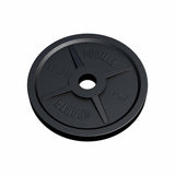 Viktskivor OLYMPIA 51mm 2x15kg