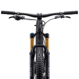 Elcykel GIANT Trance X Advanced E+ Elite 1, Raw Carbon