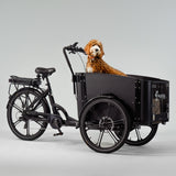 El-lastcykel CARGOBIKE of SWEDEN Flex Dog