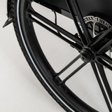 El-lastcykel CARGOBIKE of SWEDEN Flex Dog