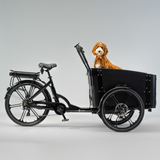 El-lastcykel CARGOBIKE of SWEDEN Flex Dog