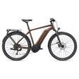 Elcykel GIANT Explore E+ 4 GTS, Hematite