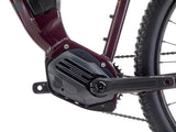 Electric bicycle KONA El Kahuna, 29" Gloss Plum (Purple)