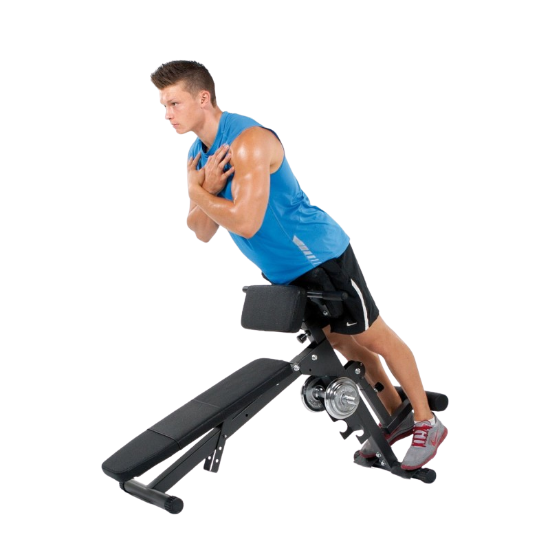 Kuntopenkki FINNLO by Hammer Ab&Back Trainer