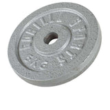 Bicepscurlbänk Z Stång Viktskivor Totalt 40kg