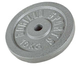 Bicepscurlbänk Z Stång Viktskivor Totalt 40kg