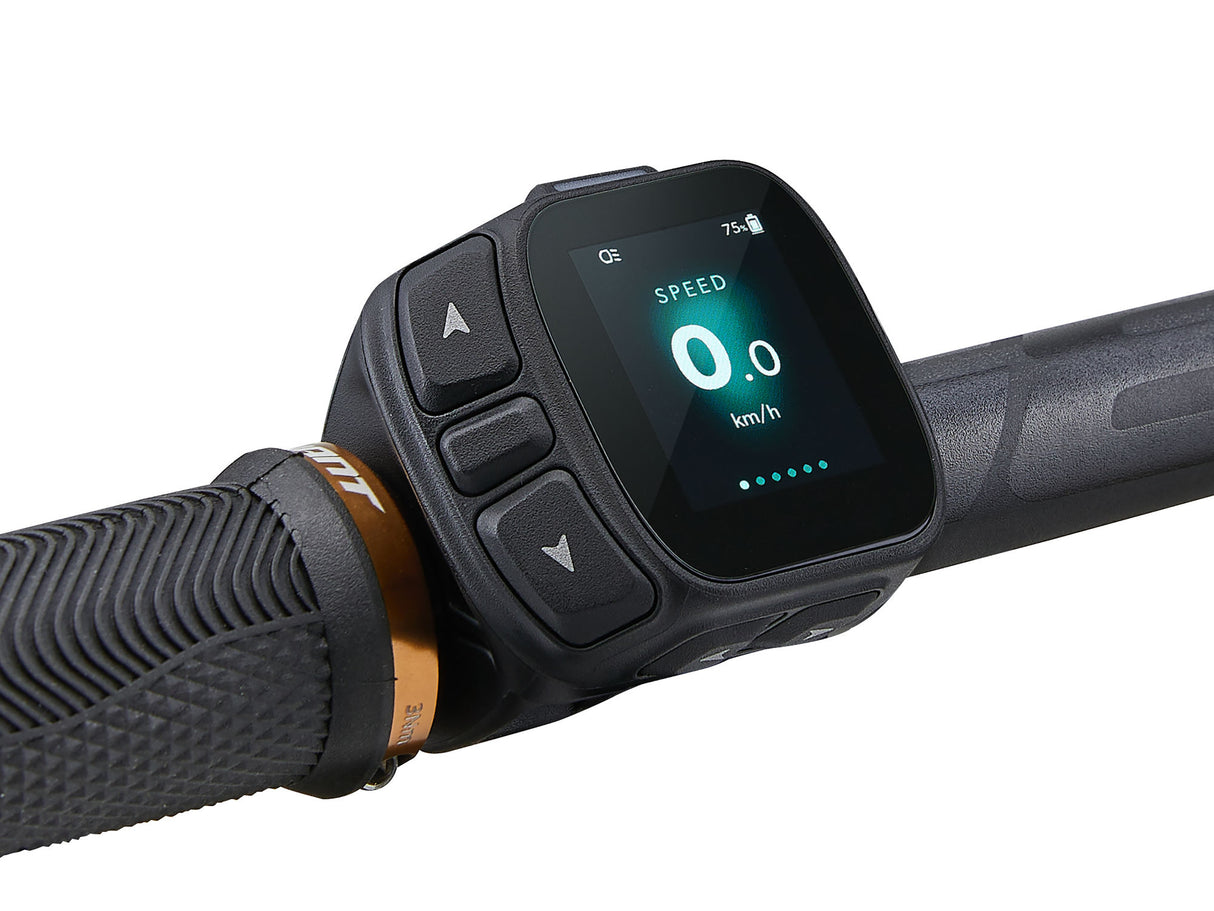 Electric bicycle GIANT Stance E+ 2 (2027) 29" Desert Sage/Black