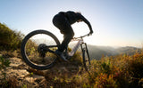 Elcykel GIANT Stance E+ 1 (2027) 29" Charcoal/Black