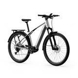 Elcykel TENWAYS AGO X Special Edition, 29" Silver