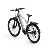 Elcykel TENWAYS AGO X Special Edition, 29" Silver