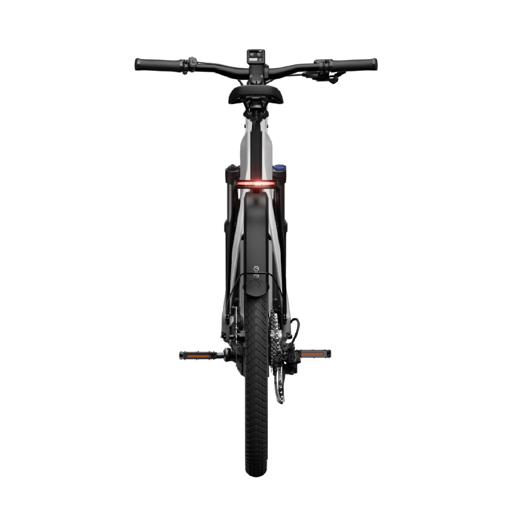 Sähköpyörä TENWAYS AGO X Special Edition, 29" Hopea