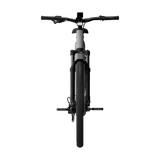 Elcykel TENWAYS AGO X Special Edition, 29" Silver