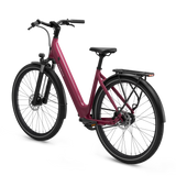 Elcykel TENWAYS CGO800S, Wild Berry