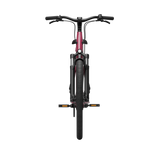 Elcykel TENWAYS CGO800S, Wild Berry