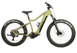 El-fatbike LEADER FOX Braga 26": Grön