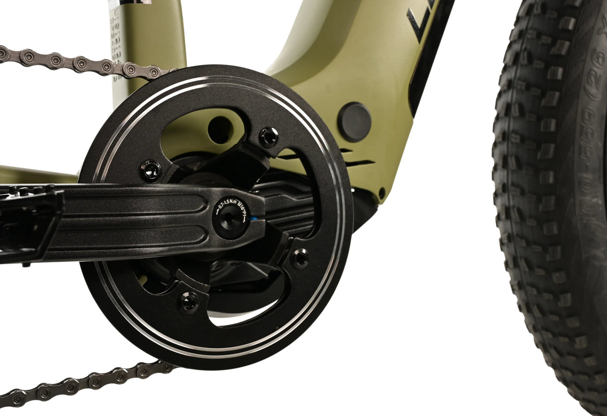 El-fatbike LEADER FOX Braga 26": Grön