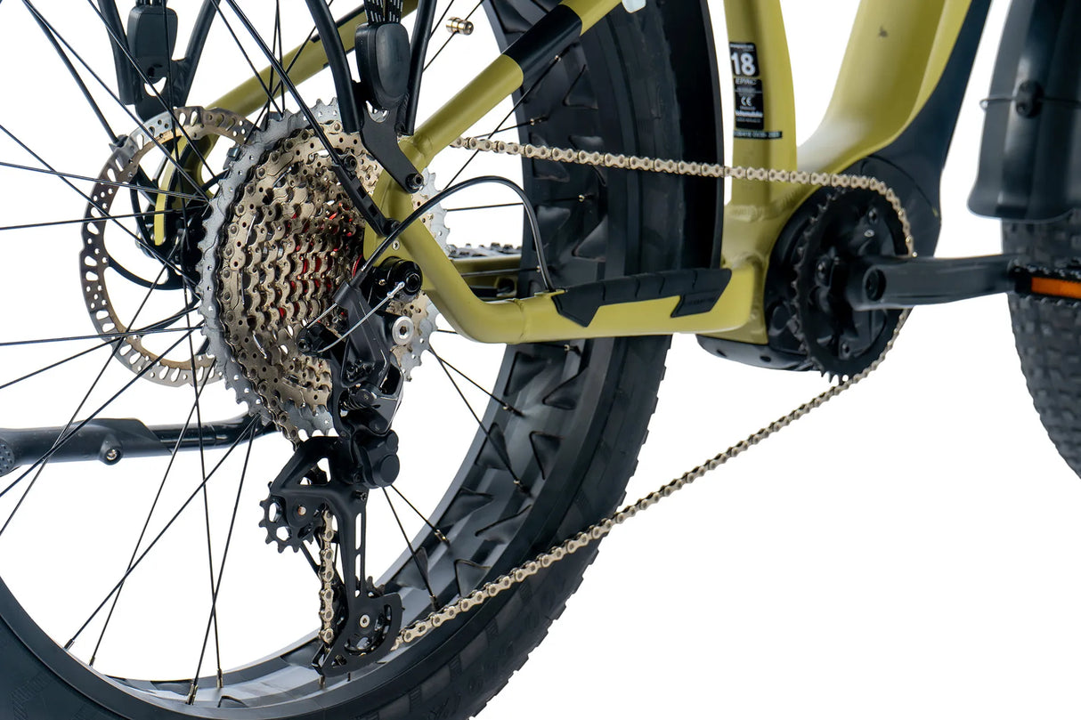 El-fatbike LEADER FOX Brasa 26": Grön