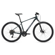 GIANT Roam 2 Bicycle, Asphalt Green