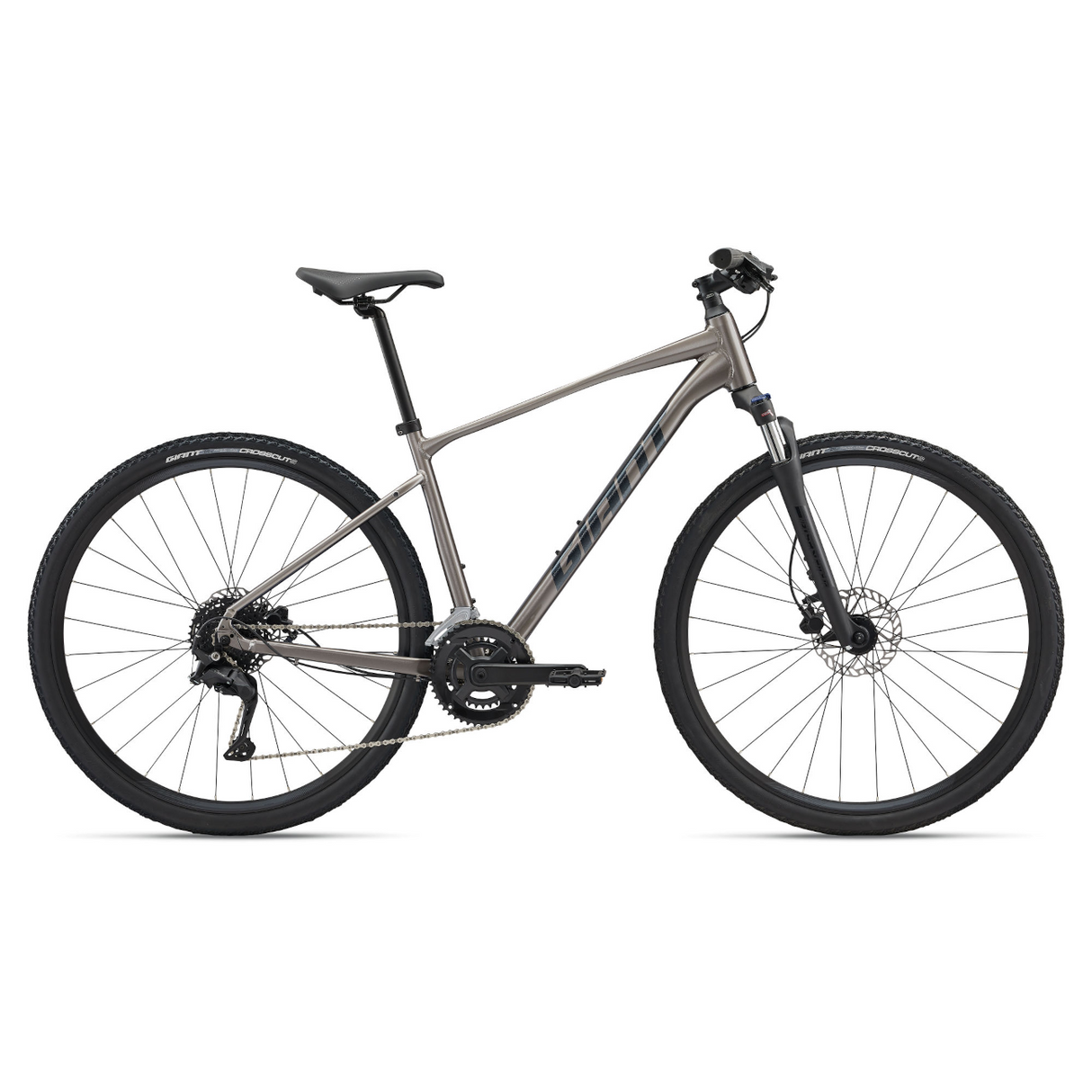 Bicycle GIANT Roam 3, Metal