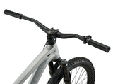 Dirt jump-cykel GIANT STP 26, Quicksilver
