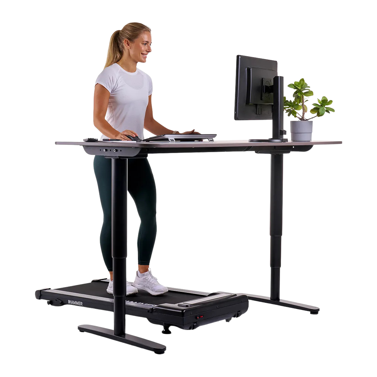 Treadmill/walking pad HAMMER Walk 2.0