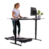 Treadmill/walking pad HAMMER Walk 2.0