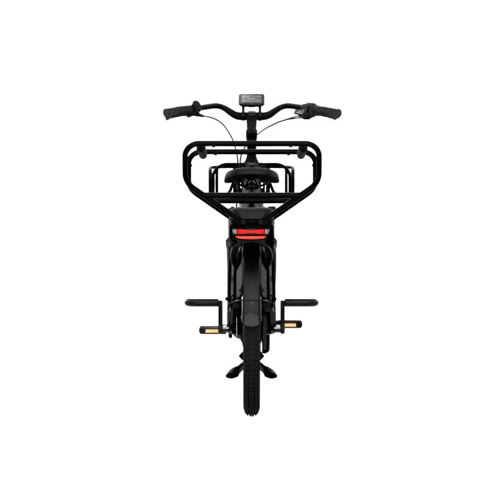 El-lastcykel TENWAYS Longtail DUO