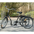 Tricycle AMLADCYKLER