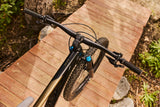 Maastopyörä GIANT Reign 2, 29" Musta/Pyriitti ruskea