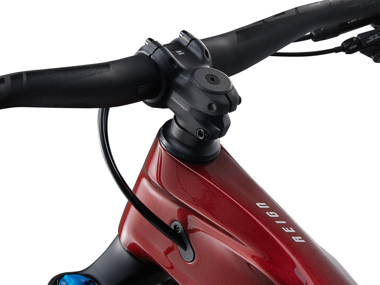 Mountainbike GIANT Reign Advanced 2 29" Sangria/Carbon